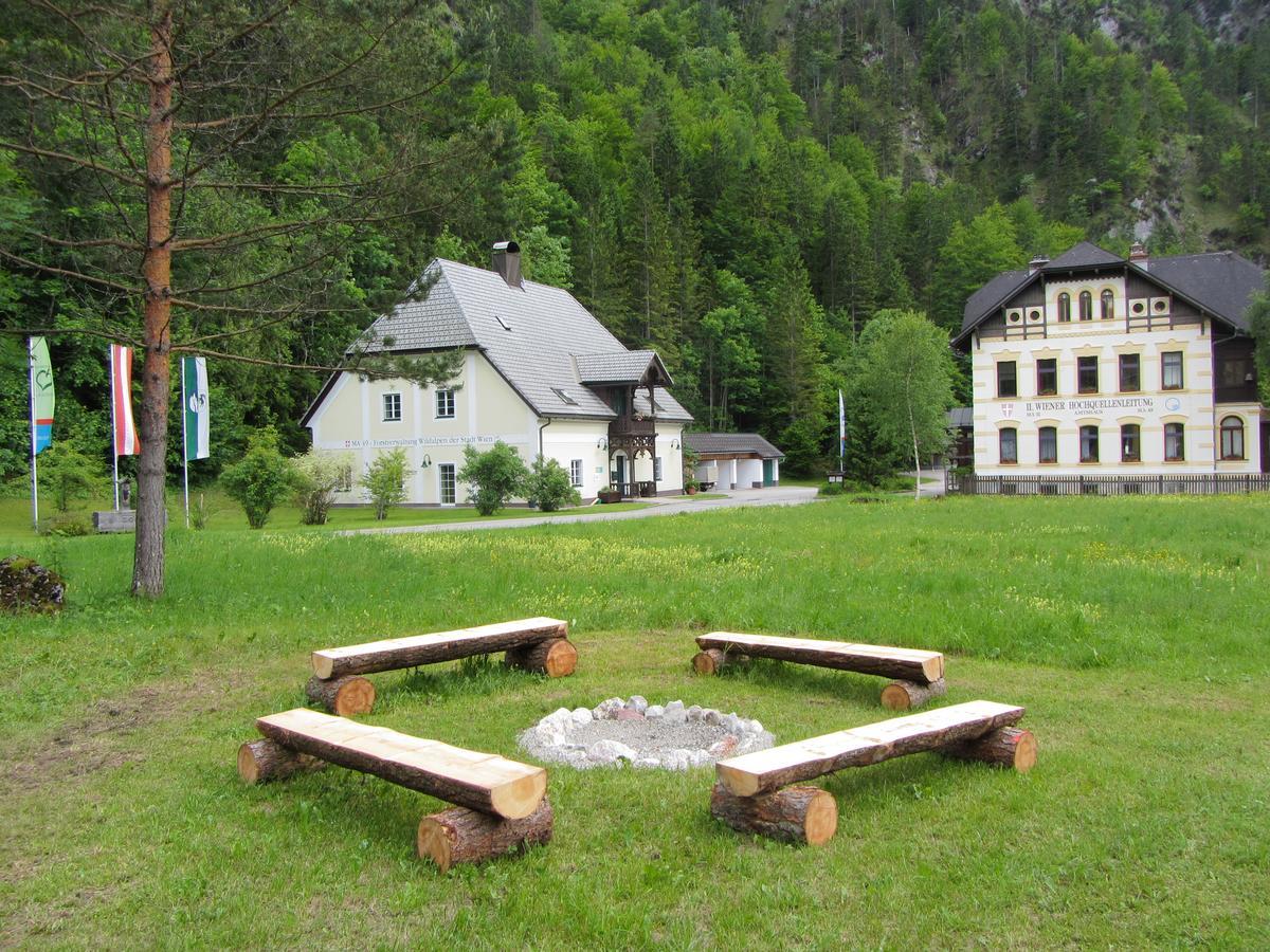 Hotel Bergkristall Wildalpen Extérieur photo